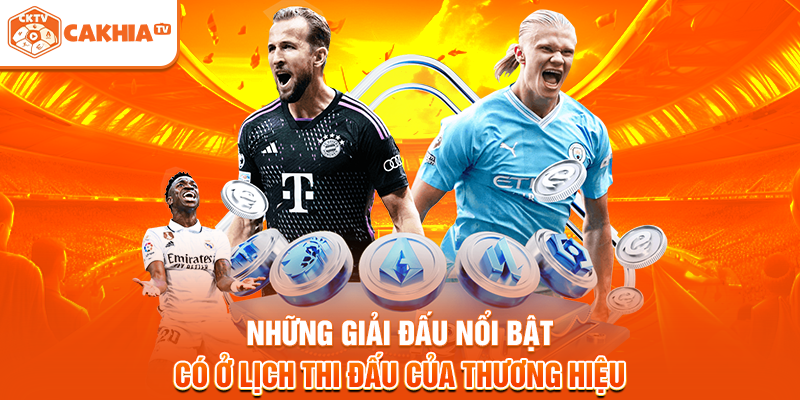 Những giải đấu nổi bật có ở lịch thi đấu của thương hiệu